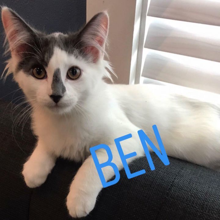 Ben
